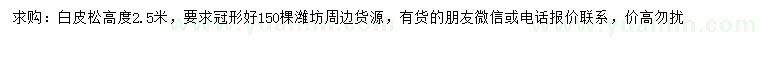 求購高度2.5米白皮松