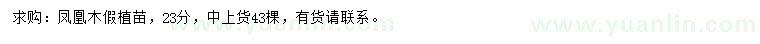 求購23公分鳳凰木