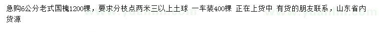求購6公分老式國槐
