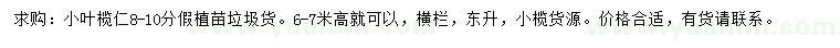 求購8-10公分小葉欖假植苗