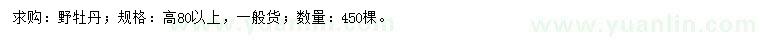 求購高80公分以上野牡丹