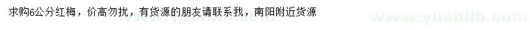 求購(gòu)6公分紅梅