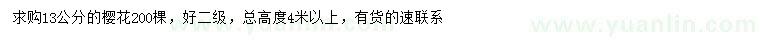 求購13公分櫻花
