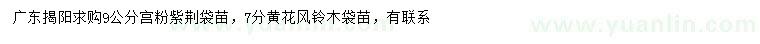 求購9公分宮粉紫荊、7分黃花風鈴木