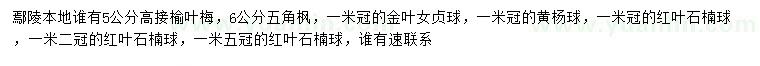 求購高接榆葉梅、五角楓、金葉女貞球等