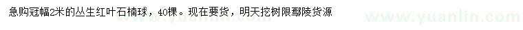 求購冠幅2米叢生紅葉石楠球