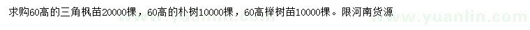 求購三角楓小苗、樸樹小苗、櫸樹小苗