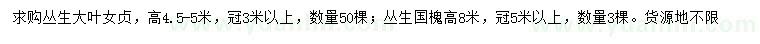求購(gòu)高4.5-5米叢生大葉女貞、8米叢生國(guó)槐