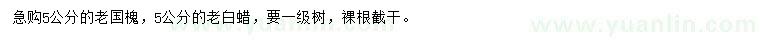 求購5公分老國(guó)槐、老白蠟