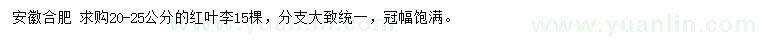 求購20-25公分紅葉李