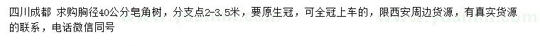 求購(gòu)胸徑40公分皂角樹(shù)