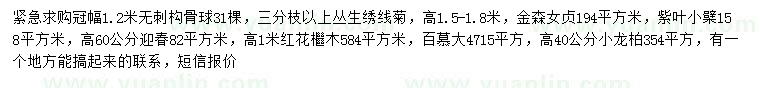求購無刺構(gòu)骨球、金森女貞、紫葉小檗等