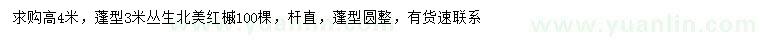 求購高4米叢生北美紅槭