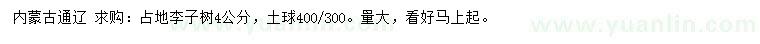 求購4公分占地李子樹