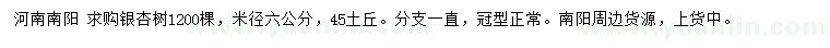 求購米徑6公分銀杏