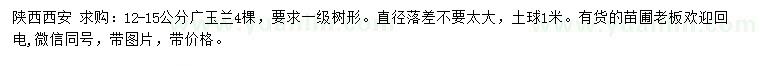 求購12-15公分廣玉蘭