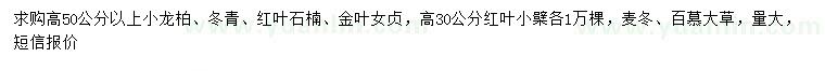 求購小龍柏、冬青、紅葉石楠等