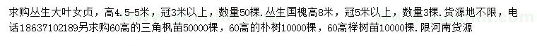 求購叢生大葉女、國槐、三角楓等