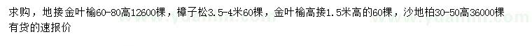 求購金葉榆、樟子松、金葉榆等