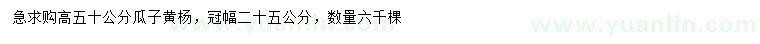 求購(gòu)高50公分瓜子黃楊