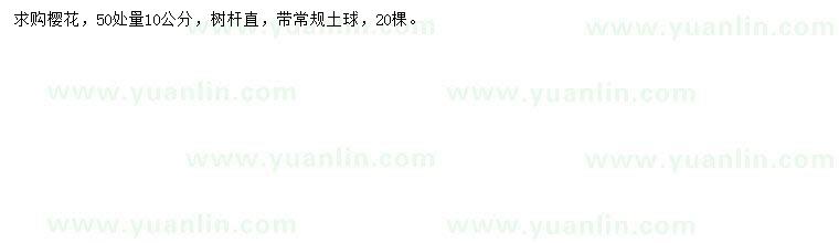 求購50量10公分櫻花