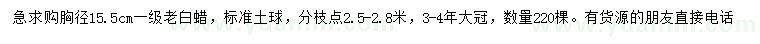 求購胸徑15.5公分老白蠟