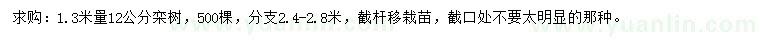 求購(gòu)1.3米量12公分欒樹