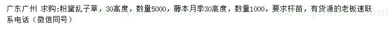求購高30公分粉黛亂子草、藤本月季