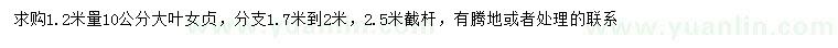 求購1.2米量10公分大葉女貞