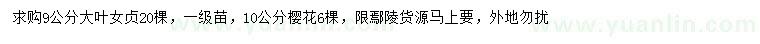 求購9公分大葉女貞、10公分櫻花