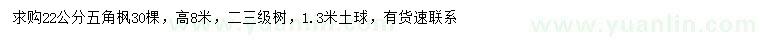 求購22公分五角楓