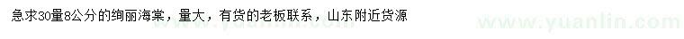 求購30量8公分絢麗海棠