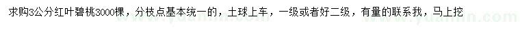 求購3公分紅葉碧桃
