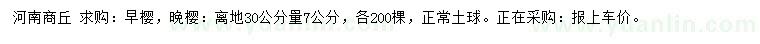 求購離地30公分量7公分早櫻、晚櫻