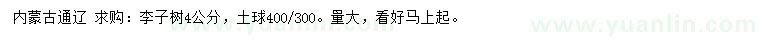 求購(gòu)4公分李子樹