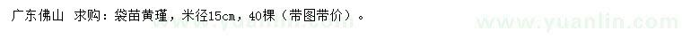 求購米徑15公分黃瑾