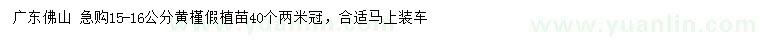求購(gòu)15-16公分黃槿假植苗