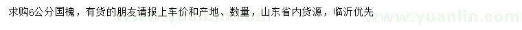 求購6公分國槐
