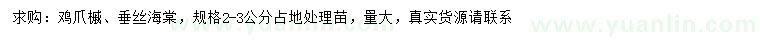 求購(gòu)2-3公分雞爪槭、垂絲海棠