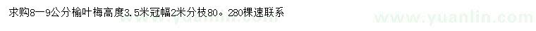 求購8-9公分榆葉梅