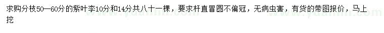 求購10、14公分紫葉李