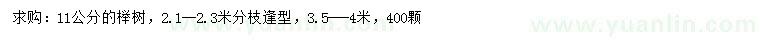 求購11公分櫸樹