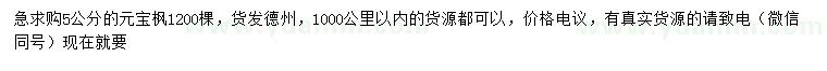 求購5公分元寶楓
