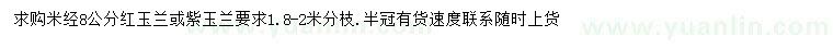 求購(gòu)米徑8公分紅玉蘭或紫玉蘭