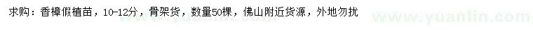 求購10-12公分香樟