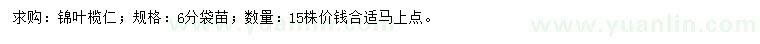 求購6公分錦葉欖仁