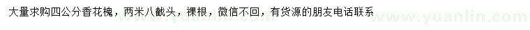 求購4公分香花槐