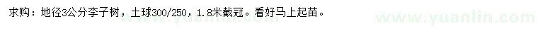 求購(gòu)地徑3公分李子樹(shù)