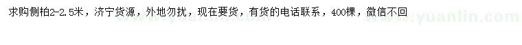 求購2-2.5米側(cè)柏
