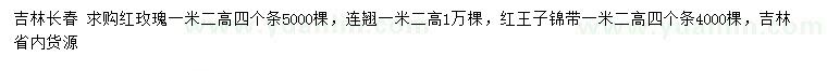 求購(gòu)紅玫瑰、連翹、紅王子錦帶
